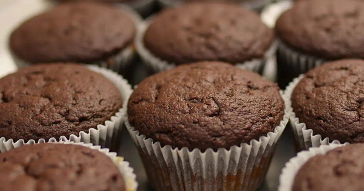 moist chocolate cupcakes