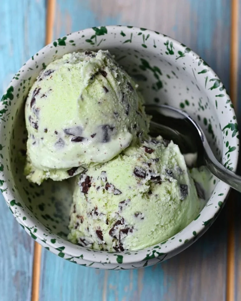 A delicious bowl of mint chocolate chip ice cream garnished with mint leaves.