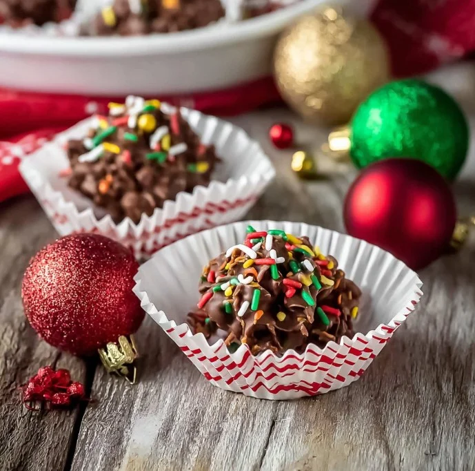Delicious Chocolate Haystack Cookies with chocolate, oats, and coconut